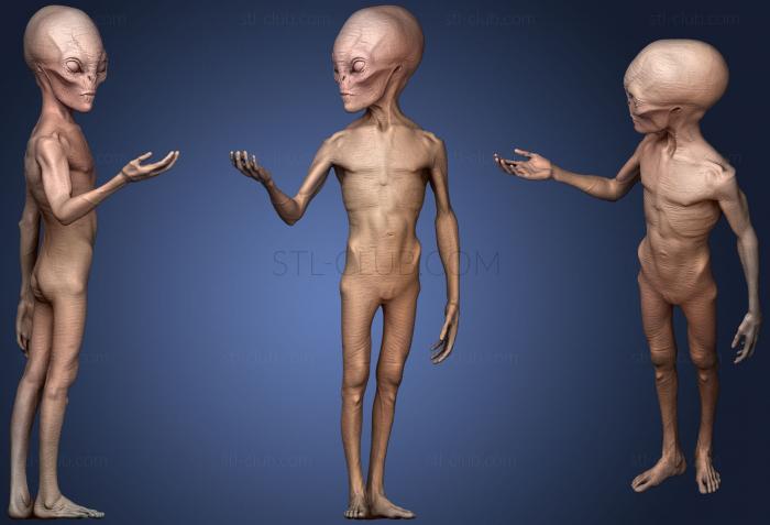 3D model Grey Alien (STL)